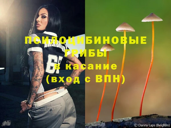 spice Верхний Тагил