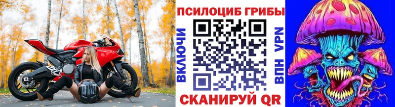 Псилоцибиновые грибы прущие грибы  Канск 